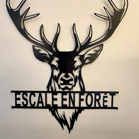 Le Cerf - Center * Rambouillet